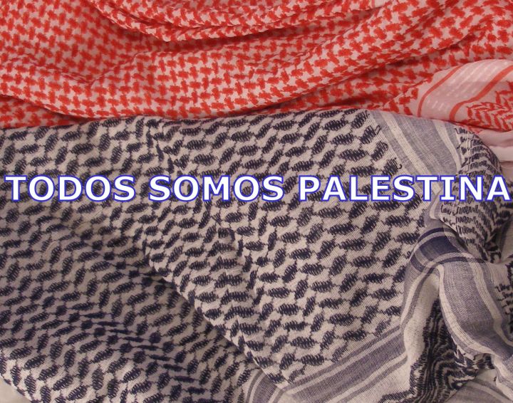 todos-somos-palestina